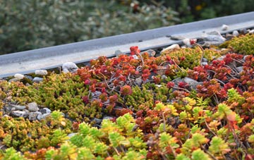 the cost of Pean Hill green roof installation