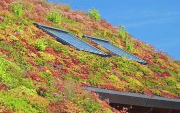 Pean Hill living roof systems