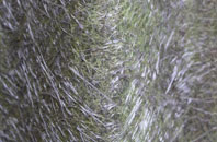 Pean Hill fibreglass roof work